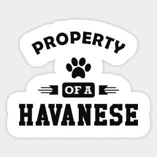 Havanese Dog - Property of a havanese Sticker